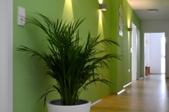 AB-galerie04